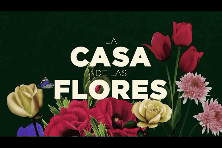 Photo of La segunda temporada de «La casa de las flores» con más humor negro
