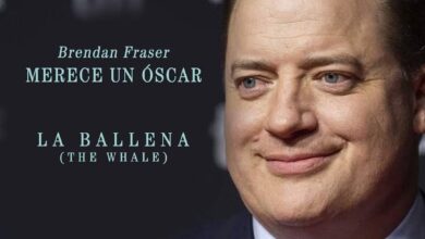 Photo of «LA BALLENA», rumbo al Óscar con sus 3 nominaciones
