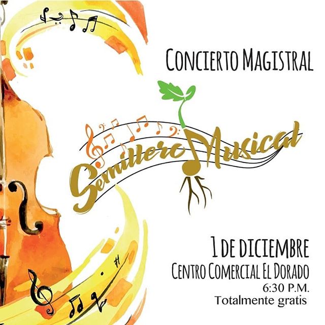 Photo of Concierto magistral «Semillero Musical»
