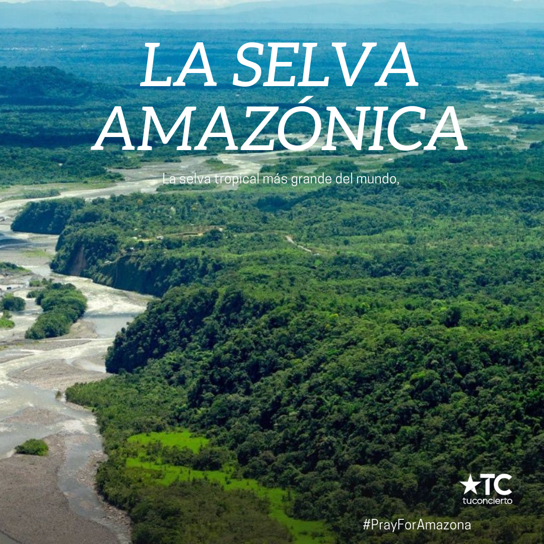 Photo of La Selva Amazónica es considerada «El Pulmón del Mundo» y el incendio forestal sigue ardiendo