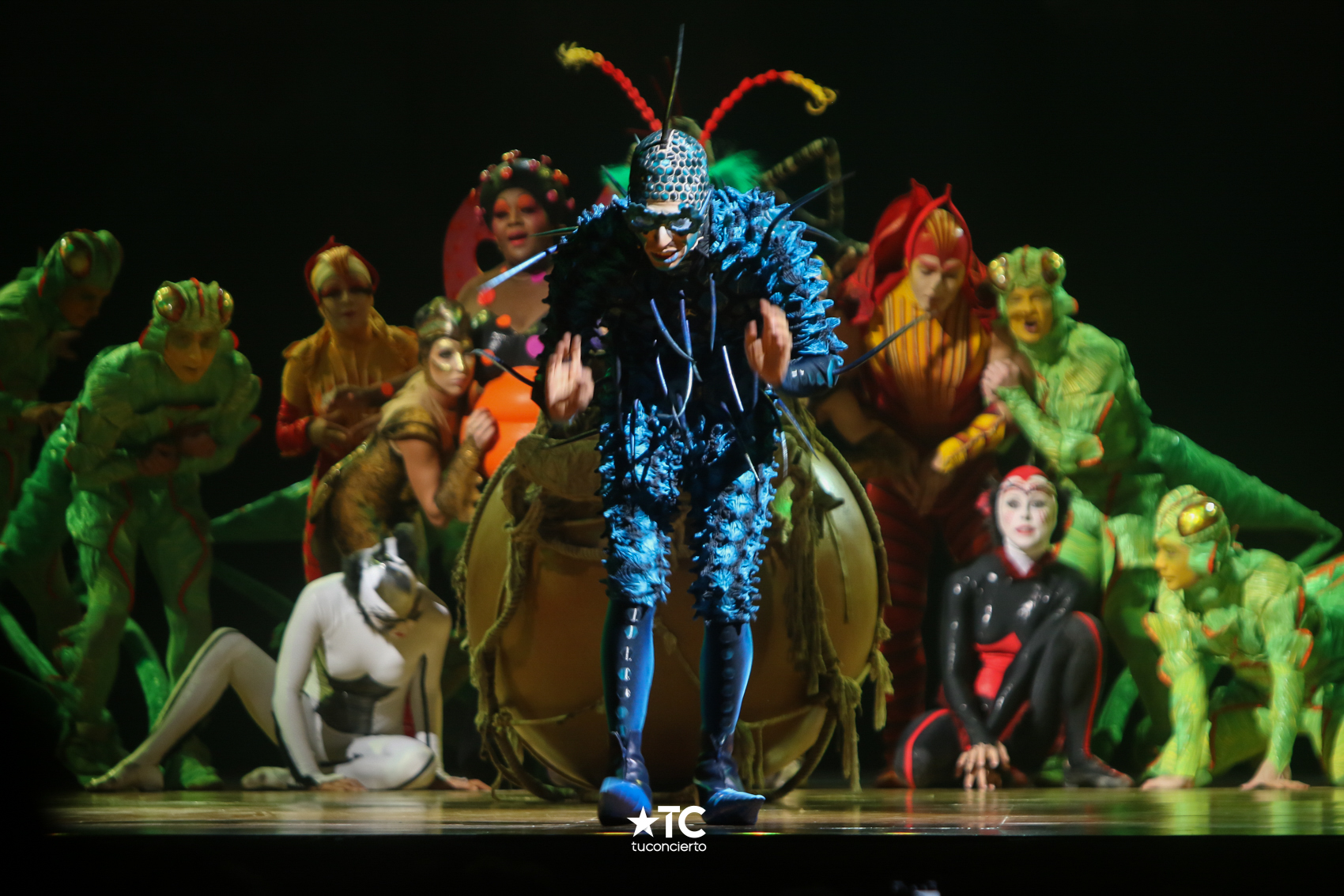 Photo of «OVO by Cirque Du Soleil» ¡Ya está en Panamá’