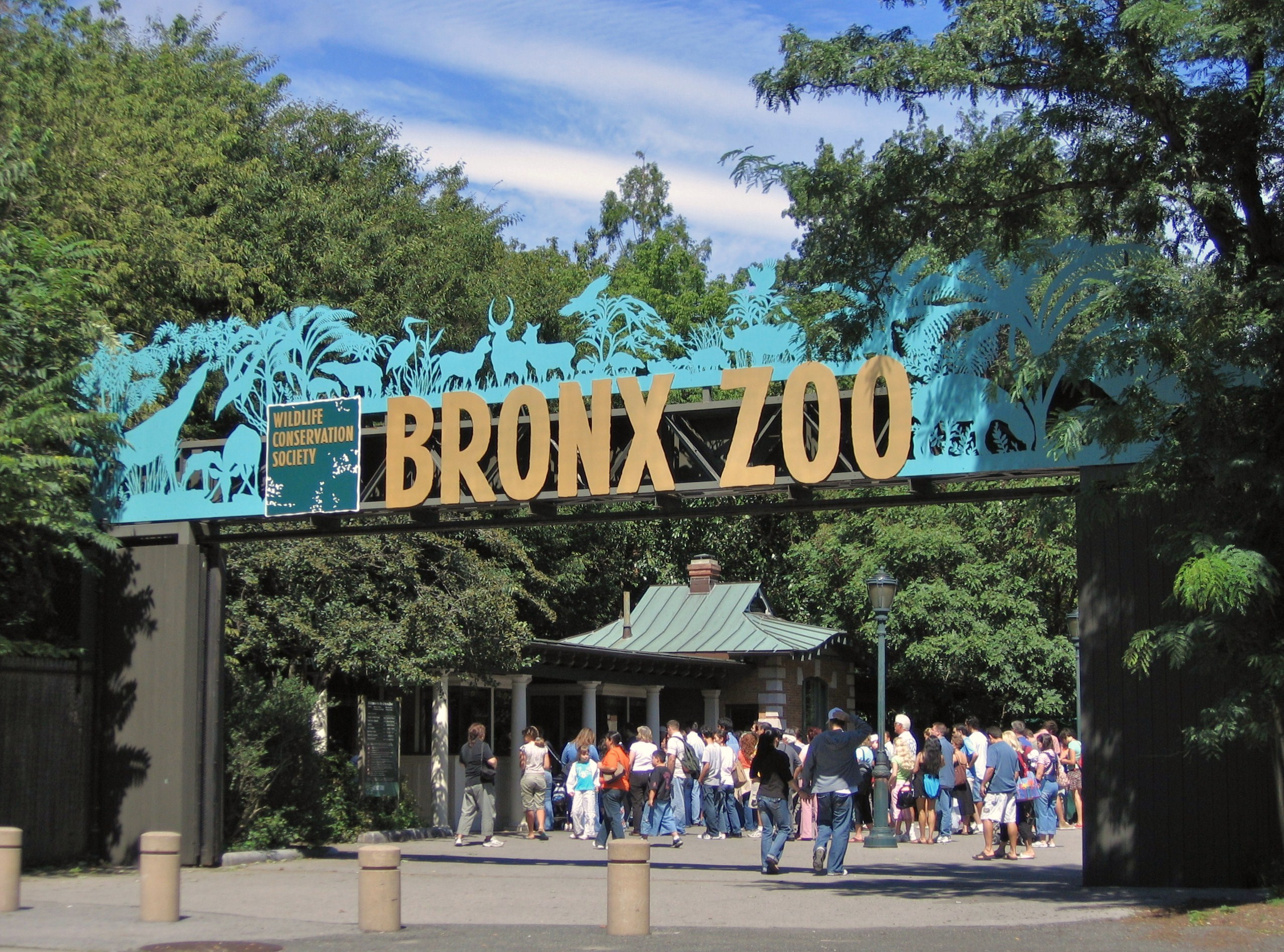 Photo of Un tigre del zoológico del Bronx en Nueva York, dio positivo de coronavirus